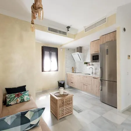Atico Con Encanto Centro Apartment Jerez de la Frontera
