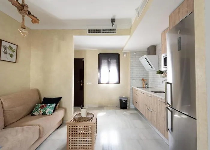 Atico Con Encanto Centro